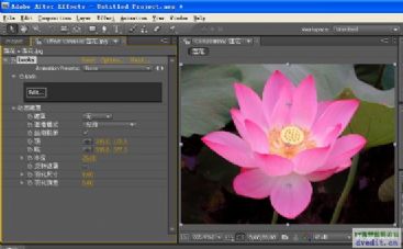 Magic Bullet Looks AE 1.4.3Ӣİ32λ+h(baxianhua)